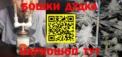 индика Партизанск