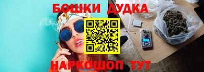 индика Партизанск