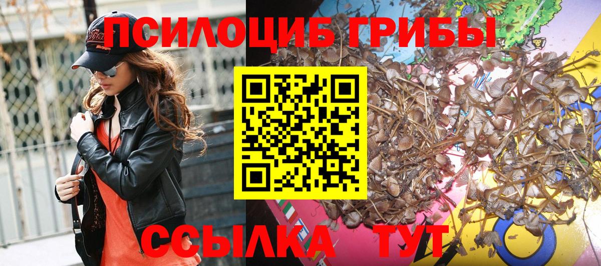 Псилоцибиновые грибы мицелий  Вход с VPN  Фролово 